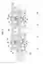 Fig. 09 - Continuous variable valve duration apparatus and engine provided with the same