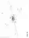 Fig. 29 - Ceiling fan