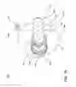 Fig. 35 - Ceiling fan