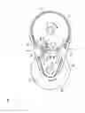 Fig. 02 - Belt-driven continuously variable transmission