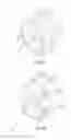 Fig. 15 - DUAL USE HANDLE FOR SUPPLY LINES