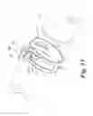 Fig. 14 - Hose clamp