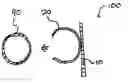 Fig. 01 - SHIELD FOR PIPES CARRYING FLUID