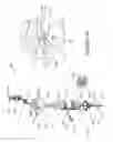 Fig. 06 - LED lighting apparatus with adjustable beam angle lens