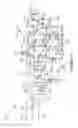 Fig. 32 - LED lighting apparatus with adjustable beam angle lens
