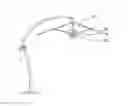 Fig. 01 - Sunshade lamp fixing device and sunshade