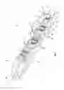Fig. 02 - Level with rotating vial and locking assembly