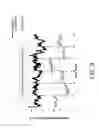 Fig. 04 - Absorption spectrometer