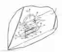 Fig. 01 - Pneumatic air data probe with elliptical cross section
