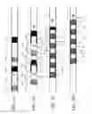 Fig. 04 - Mixing of fluids in fluidic systems