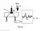 Fig. 09 - Method and system for rapid malaria detection