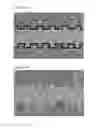 Fig. 15 - DNA detection method