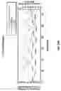 Fig. 22 - Temperature compensation and operational configuration for bulk acoustic wave resonator devices