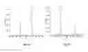 Fig. 05 - LC-MS configuration for purification and detection of analytes having a broad range of hydrophobicites