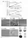 Fig. 86 - Ion generation using modified wetted porous materials