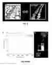 Fig. 06 - Fluorescence detection of mechanical damage