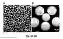 Fig. 08 - Fluorescence detection of mechanical damage