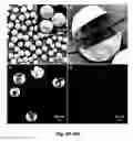Fig. 09 - Fluorescence detection of mechanical damage