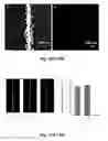 Fig. 10 - Fluorescence detection of mechanical damage