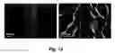Fig. 13 - Fluorescence detection of mechanical damage