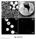 Fig. 16 - Fluorescence detection of mechanical damage