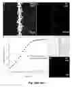 Fig. 17 - Fluorescence detection of mechanical damage