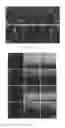 Fig. 06 - Polymers And Oligomers With Aggregation-Induced Emission Characteristics For Imaging And Image-Guided Therapy