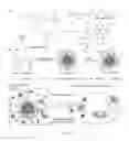 Fig. 18 - Polymers And Oligomers With Aggregation-Induced Emission Characteristics For Imaging And Image-Guided Therapy