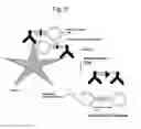 Fig. 11 - Assay methods