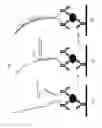 Fig. 14 - Assay methods