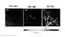 Fig. 18 - Plasmonic substrates for metal-enhanced fluorescence based sensing, imaging and assays for cells