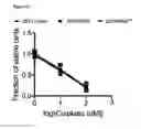 Fig. 04 - METHODS AND COMPOSITIONS FOR DETECTING AND MODULATING CANCER CELLS
