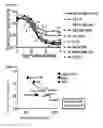 Fig. 06 - METHODS AND COMPOSITIONS FOR DETECTING AND MODULATING CANCER CELLS