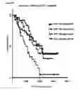 Fig. 17 - METHODS AND COMPOSITIONS FOR DETECTING AND MODULATING CANCER CELLS