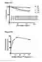 Fig. 20 - METHODS AND COMPOSITIONS FOR DETECTING AND MODULATING CANCER CELLS