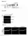 Fig. 22 - METHODS AND COMPOSITIONS FOR DETECTING AND MODULATING CANCER CELLS