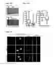 Fig. 44 - METHODS AND COMPOSITIONS FOR DETECTING AND MODULATING CANCER CELLS