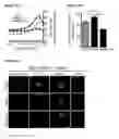 Fig. 45 - METHODS AND COMPOSITIONS FOR DETECTING AND MODULATING CANCER CELLS