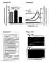 Fig. 48 - METHODS AND COMPOSITIONS FOR DETECTING AND MODULATING CANCER CELLS