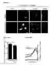 Fig. 53 - METHODS AND COMPOSITIONS FOR DETECTING AND MODULATING CANCER CELLS