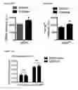 Fig. 68 - METHODS AND COMPOSITIONS FOR DETECTING AND MODULATING CANCER CELLS