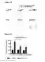 Fig. 71 - METHODS AND COMPOSITIONS FOR DETECTING AND MODULATING CANCER CELLS