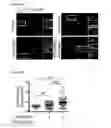 Fig. 79 - METHODS AND COMPOSITIONS FOR DETECTING AND MODULATING CANCER CELLS