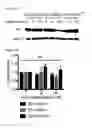 Fig. 82 - METHODS AND COMPOSITIONS FOR DETECTING AND MODULATING CANCER CELLS
