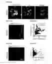 Fig. 90 - METHODS AND COMPOSITIONS FOR DETECTING AND MODULATING CANCER CELLS