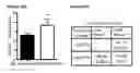 Fig. 91 - METHODS AND COMPOSITIONS FOR DETECTING AND MODULATING CANCER CELLS