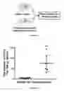 Fig. 07 - Biomimetic microfluid device for capturing circulating tumor cells