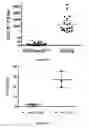 Fig. 09 - Biomimetic microfluid device for capturing circulating tumor cells
