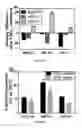 Fig. 11 - Biomimetic microfluid device for capturing circulating tumor cells