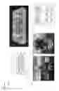 Fig. 13 - Biomimetic microfluid device for capturing circulating tumor cells